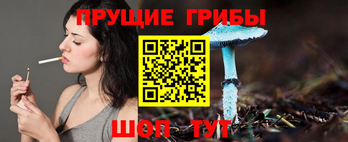 Псилоцибиновые грибы мицелий  Вход с VPN  Выборг 